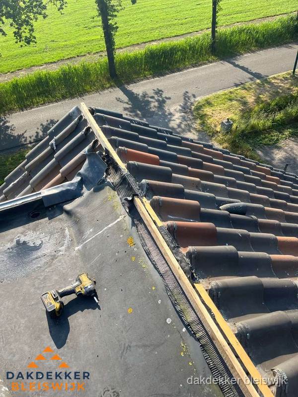 Kosten dakgoot vervangen: werkzaamheden aan dakrand in Bleiswijk
