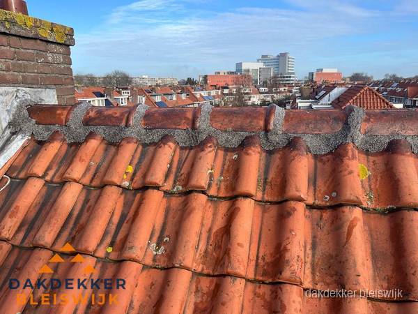 Pannendak met nokvorst en schoorsteen, dakrenovatie in Bleiswijk Pannendak met nokvorst en schoorsteen, dakrenovatie in Bleiswijk