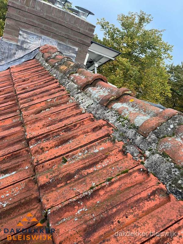 Verweerd hellend dak met mosgroei op nokvorst in Bleiswijk Verweerd hellend dak met mosgroei op nokvorst in Bleiswijk